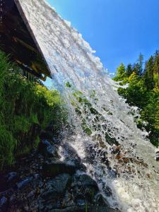 Foto dalla galleria di Hillside Strašín Šumava a Strašín