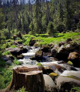 Foto dalla galleria di Hillside Strašín Šumava a Strašín Altre 24 foto