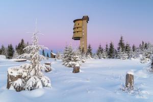 StrašínにあるHillside Strašín Šumavaの背景の塔が積雪場