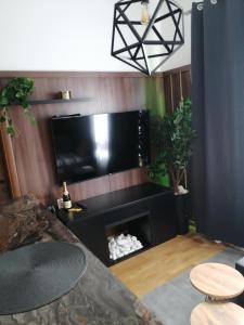 een woonkamer met een flatscreen-tv aan de muur bij Divčinova1 Reset A2 in Divčibare +31 foto's