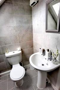 a bathroom with a toilet and a sink at Cozy Loft In The Heart Of Kirkwall in Orkney