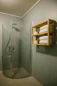 uma casa de banho com um chuveiro e uma cabina de duche em vidro. em Norway Holiday Apartments - Norddalstunet em Norddal