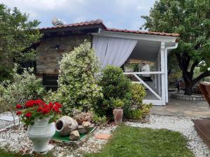 a garden with flowers and plants in front of a building at Nikos Stone House 80m from the beach with wifi in Gerakini