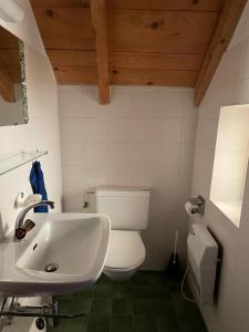 uma casa de banho com um WC branco e um lavatório. em Idyllisches Rustico im verkehrsfreien Dorfkern zur Alleinbenützung em Vira