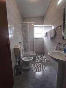 a bathroom with a shower and a toilet and a sink at Apartman Mila in Novi Vinodolski