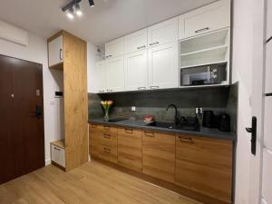 Kuchyň nebo kuchyňský kout v ubytování URBAN APARTMENTS PREMIUM, Opolska 10 No 67B, Free Garage, Self Check-in