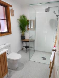a bathroom with a toilet and a glass shower at Dunstans Guest House in Ballarat