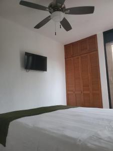 1 dormitorio con ventilador de techo y TV en la pared en Casa Las Palmas, en Cancún