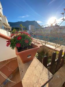 a flower pot sitting on a ledge on a balcony at Cala Holidays vicino Aeroporto&Mare in Carini