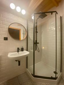 a bathroom with a shower and a sink and a mirror at Michałówka na Kubalowej Łące in Szczyrk