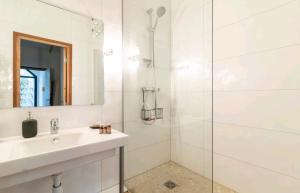 een witte badkamer met een wastafel en een douche bij Appartement luxe "La providence" , plein centre in Vichy