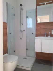 een badkamer met een douche, een toilet en een wastafel bij Złotopolska Sielanka 