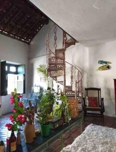 Casa de Olinda في أوليندا: غرفة معيشة فيها نباتات على طاولة في غرفة