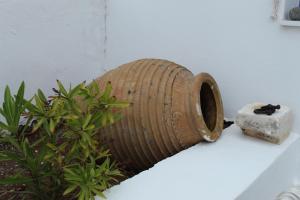 a wooden barrel sitting on a ledge next to a plant at Cycladic Villa in Amorgos Island (Maison Shiro) in Arkesíni