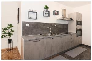 Kuchyň nebo kuchyňský kout v ubytování Apartment Legend
