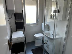 een kleine badkamer met een toilet en een wastafel bij Croatiaumag in Umag