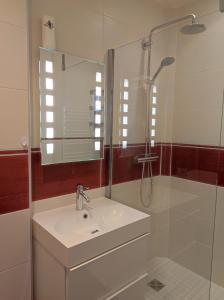 a bathroom with a sink and a shower with a mirror at Studio La Tan'Eure in Chartres