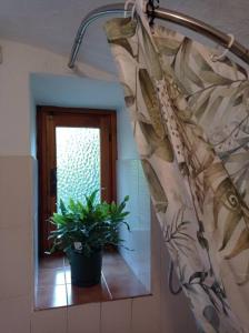 La salle de bains est pourvue d'un miroir et d'une plante en pot. dans l'établissement Il Ciabot del Bosco, à Frassino
