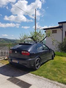 ein Auto mit einem Baum auf dem Dach eines Hauses in der Unterkunft B&b da Teresa in Castelsaraceno