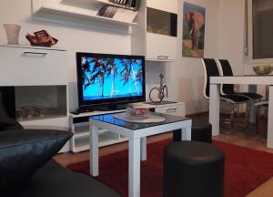 Televisyen dan/atau pusat hiburan di Apartman Nadja