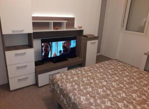 Televisyen dan/atau pusat hiburan di Apartman Nadja