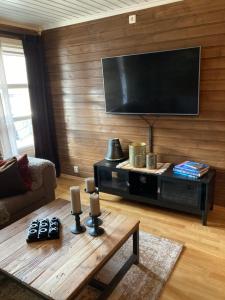 ein Wohnzimmer mit einem Flachbild-TV an der Wand in der Unterkunft Bo lunt og koselig på Filefjell in Tyinkrysset