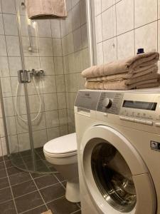 bagno con lavatrice e servizi igienici di Bo lunt og koselig på Filefjell a Tyinkrysset