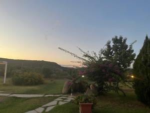 a view of a garden with a tree and flowers at Hotel Baia Cea in Bari Sardo