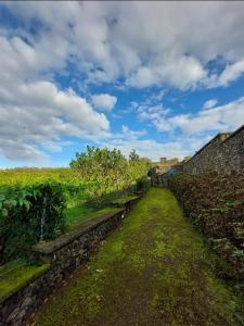 a field with a stone wall and a blue sky with clouds at Quinta do Sossego-Giestas in Ribeira Grande