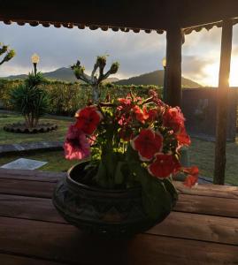 een vaas met rode bloemen op een tafel bij Quinta do Sossego-Giestas in Ribeira Grande