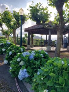 a garden with blue flowers and a gazebo at Quinta do Sossego-Giestas in Ribeira Grande