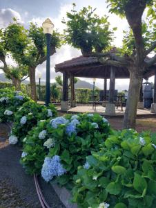 a garden with blue flowers and a gazebo at Quinta do Sossego-Giestas in Ribeira Grande +8 photos