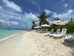 a row of chairs and umbrellas on a beach at Dhiffushi Island Villa in Dhiffushi