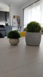Zdjęcie z galerii obiektu Apartamento en Foz. Primera Línea Playa Rapadoira w mieście Foz