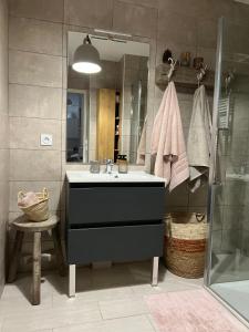a bathroom with a sink and a shower at Le nid douillet de l’ecureuil in Péone