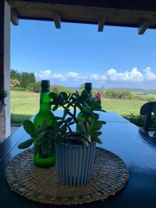 a table with a green bottle and a potted plant at Rural Norte in Bañugues