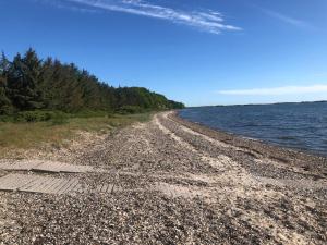 A beach at or near the holiday home