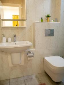 een badkamer met een wastafel, een toilet en een spiegel bij Newly decorated 1 Bed Apartment, with balcony - Osu Residential in Christiansborg