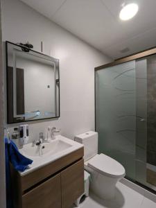 uma casa de banho com um WC, um lavatório e um chuveiro em Cómodo y céntrico mono ambiente em La Paz
