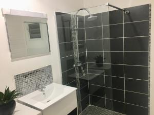 a bathroom with a shower and a sink at Eclat d’oasis in Vieux-Habitants