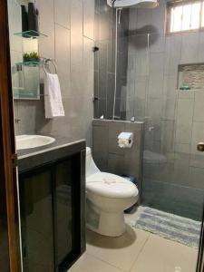 y baño con aseo, lavabo y ducha. en Casa RODME, en Fortuna