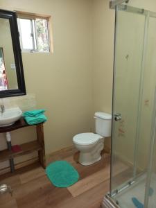 a bathroom with a toilet and a sink and a shower at El roble cabañas hualle in Pucón