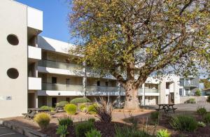 un bâtiment avec un arbre devant lui dans l'établissement Sunrise Ocean Views Retreat Cowes Phillip Island, à Cowes