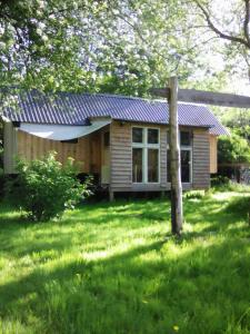 a small house with a solar roof in a yard at Villa Eden Peene Tiny House in Gützkow