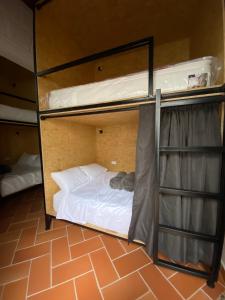 a room with two bunk beds and a ladder at banana hostel in Bogotá