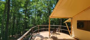 a wooden deck with a tent in the woods at Private place for rest in the forest Tent 1 Forrest Cump in Lenoir