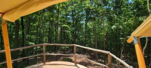 a wooden platform in the middle of a forest at Private place for rest in the forest Tent 1 Forrest Cump in Lenoir +3 photos