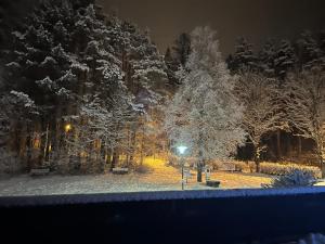 Canisiusbrünnl Self- Check in iarna