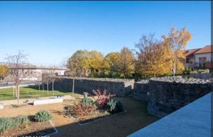Vonkajšia záhrada v ubytovaní Le Montferrand - Jules Guesde Appartement rénové lumineux
