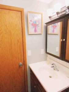 a bathroom with a sink and a mirror at Fantastic Oasis Home in Stevens Point in Stevens Point